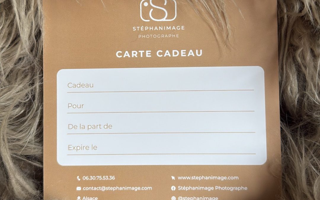 Idée cadeau de Noël : La carte cadeau !