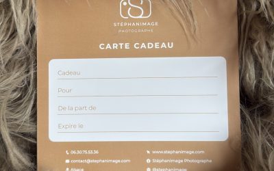 Idée cadeau de Noël : La carte cadeau !