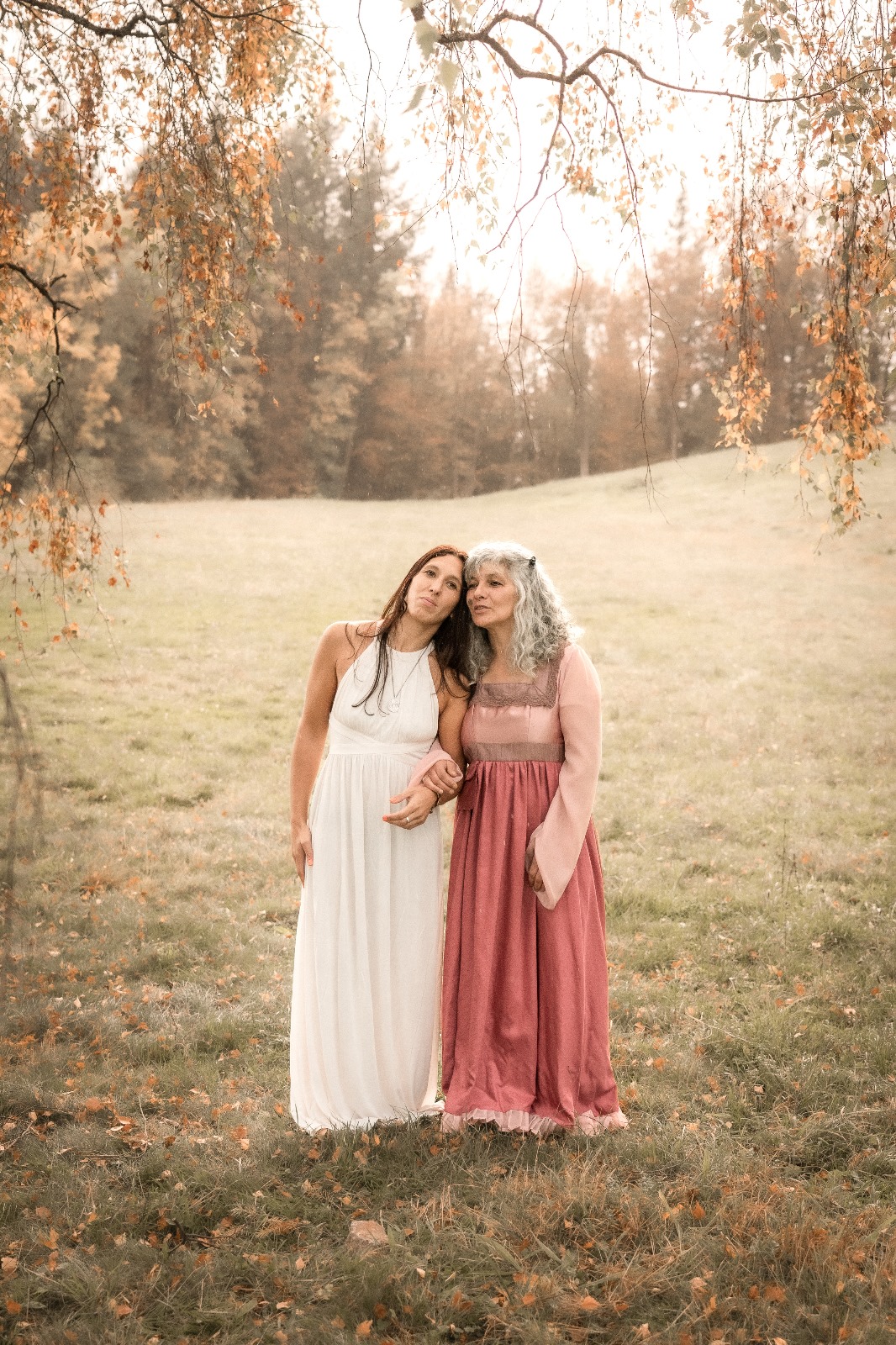 7bc6beeabb578afe7d250c696cab57dd8cd01cc5