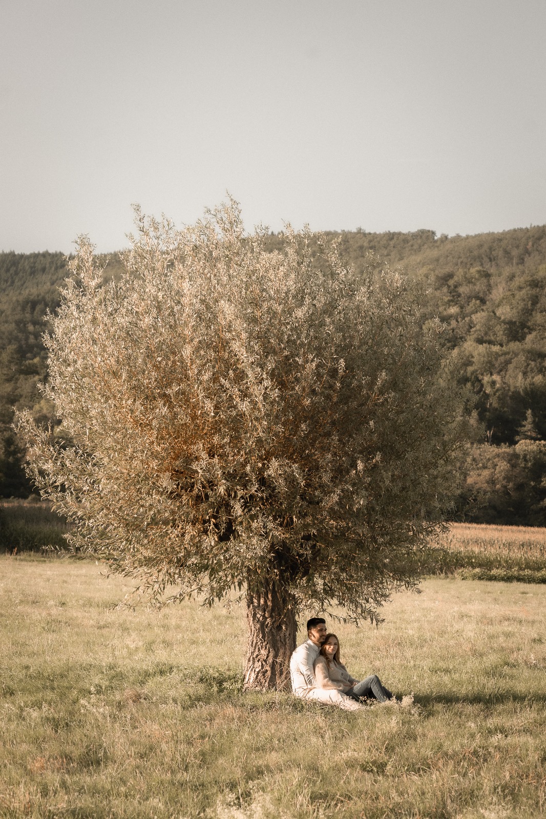 be9913d0f58af60e3bf21480ee4c8d130c2abd29