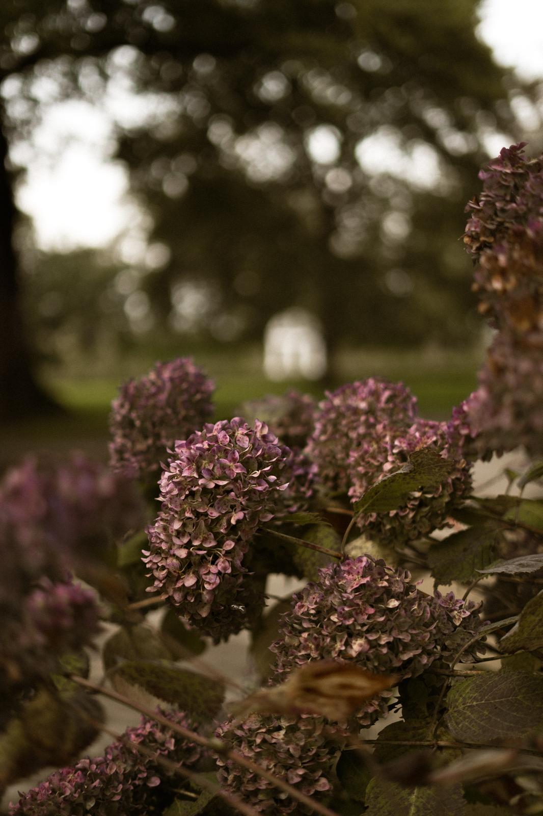 PHOTO-2026-02-20-14-33-20 4