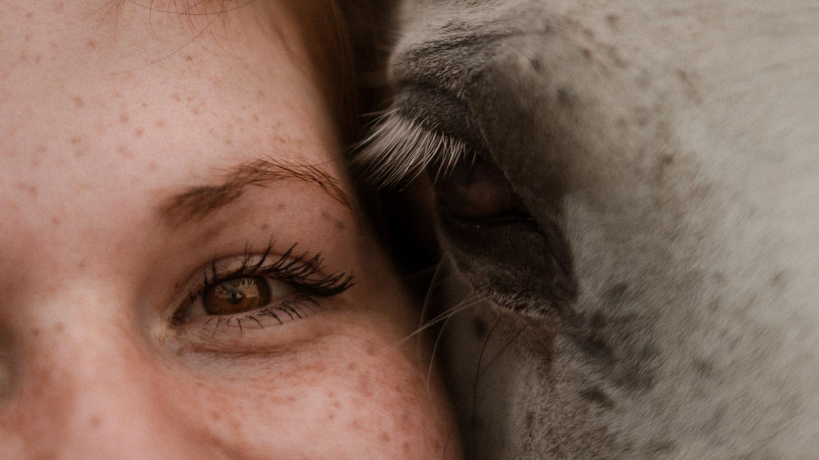 Photographe animaux - stéphanimage